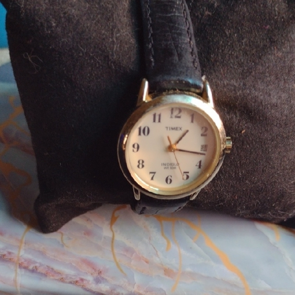 Timex Gold and Black Watch